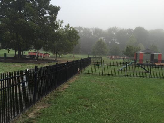 Tyler's Place Dog Park